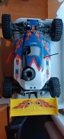 RC Reely rex X Nitro 1:8 Schleswig-Holstein - Taarstedt Vorschau