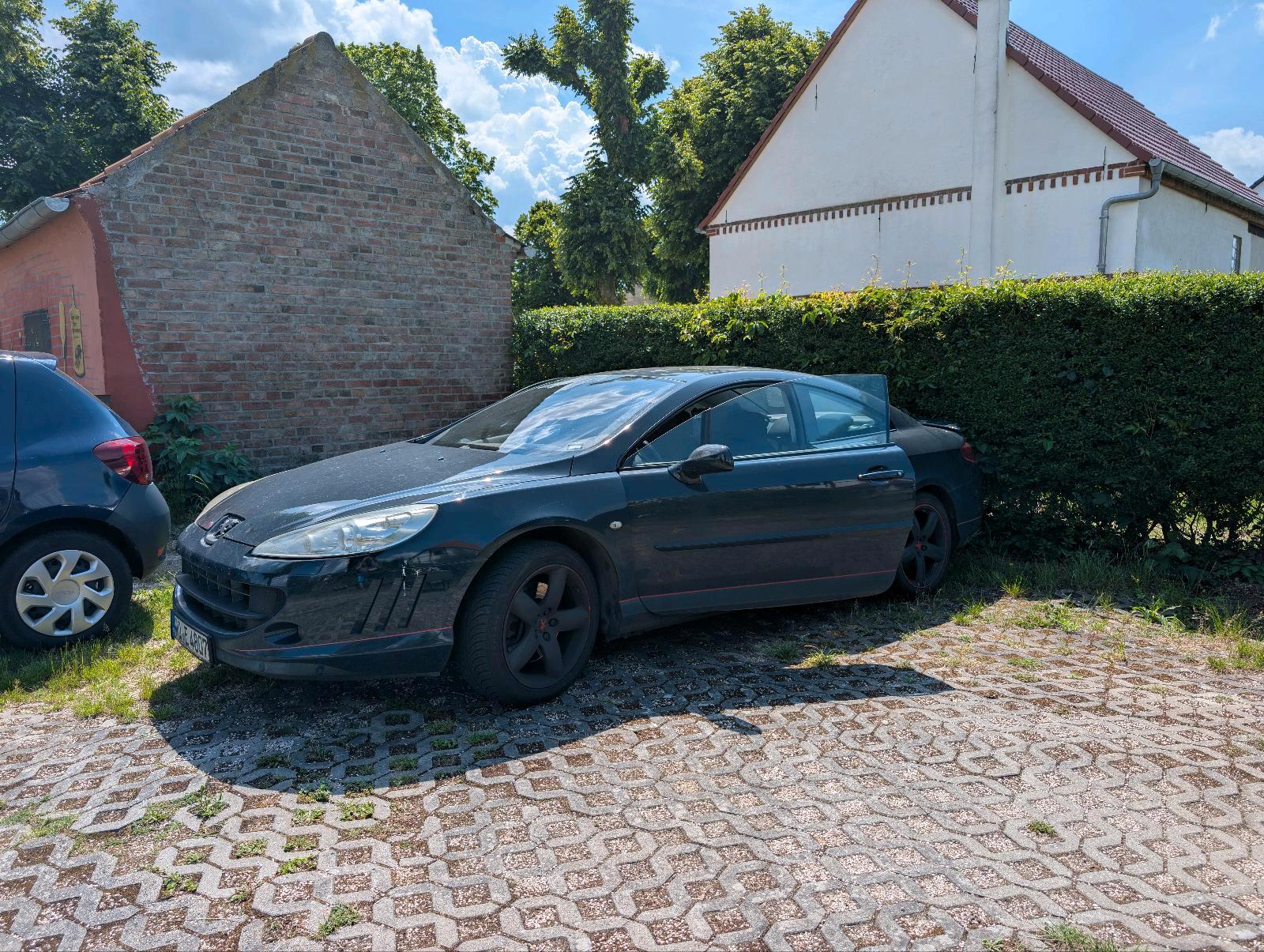Abbildung des Autos Peugeot 407 Coupe