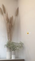 Pampas Gras mit Vase 1,80m hoch Köln - Köln Buchheim Vorschau