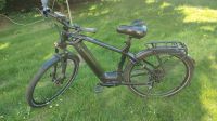 Flyer Gotour E-Bike Tracking Performance Line Motor RH: L Nordrhein-Westfalen - Senden Vorschau