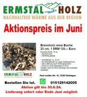Brennholz reine Buche trocken 25 cm jetzt günstig. Baden-Württemberg - Reutlingen Vorschau