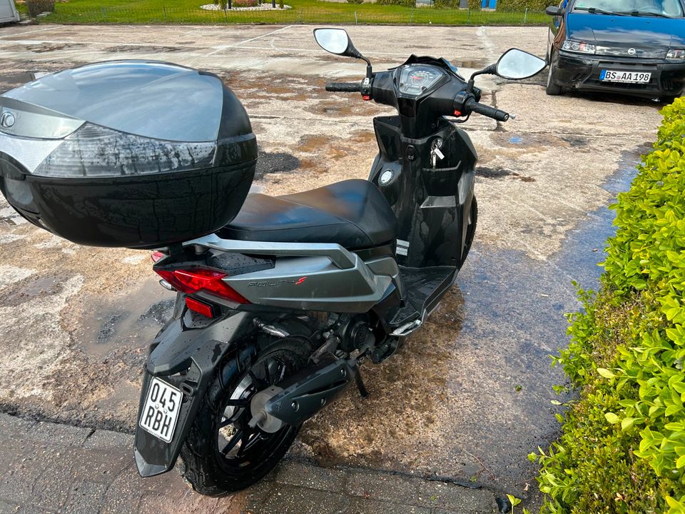 MOFA - ROLLER, KYMCO AGILITY PLUS, 50 S501, EZ 4/23, Viertakter in Braunschweig