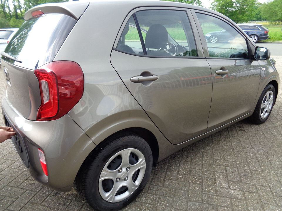 Kia Picanto 1.0 Edition 7 in Bad Bentheim