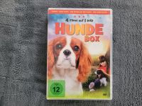 Hunde dvd Box Schleswig-Holstein - Tremsbüttel Vorschau