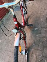 Damen und Herren Fahrrad  28-Zoll Niedersachsen - Stadthagen Vorschau