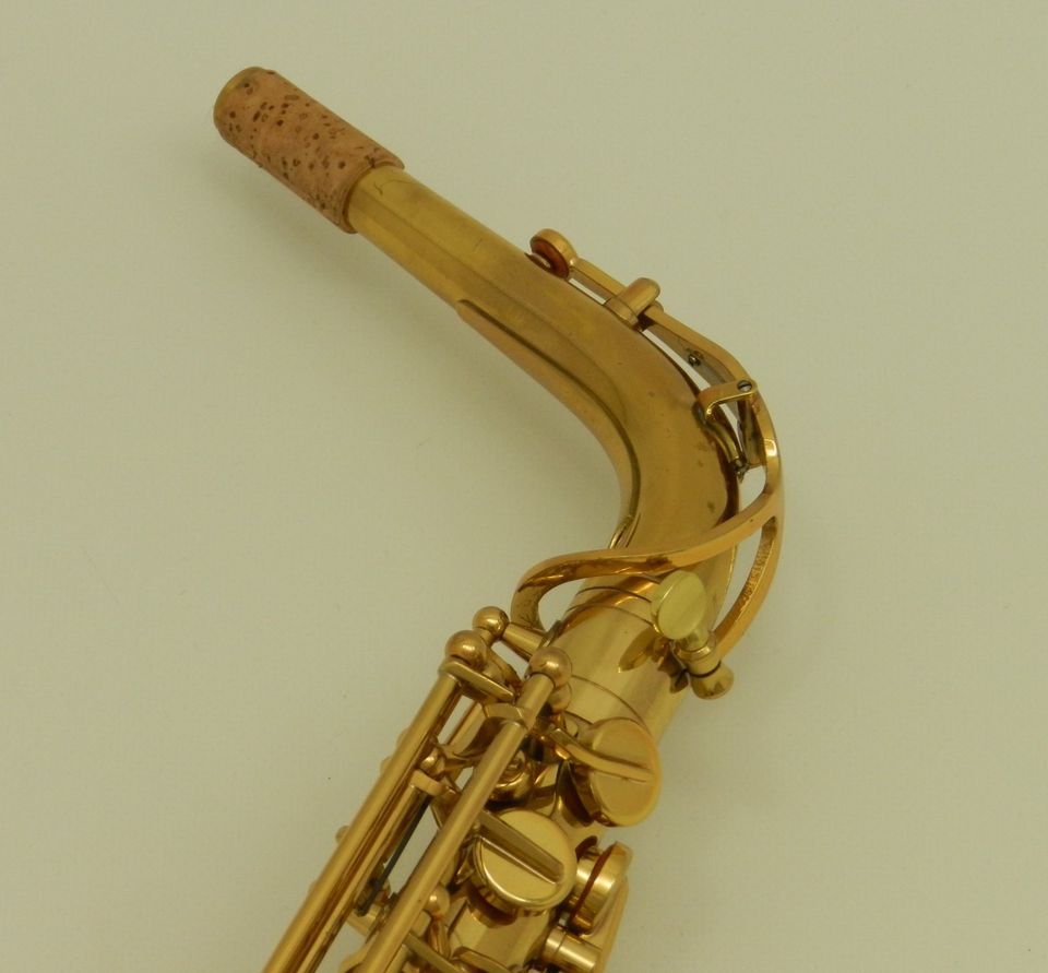 Altsaxophon Trevor James Revolution Koffer und Mundstück DR23-172 in Görlitz