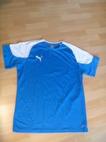 Puma Herren Sport T-Shirt Shirt Gr. XL Schleswig-Holstein - Norderstedt Vorschau