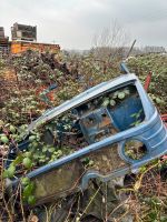 Unimog 421 Kabine Rheinland-Pfalz - Annweiler am Trifels Vorschau