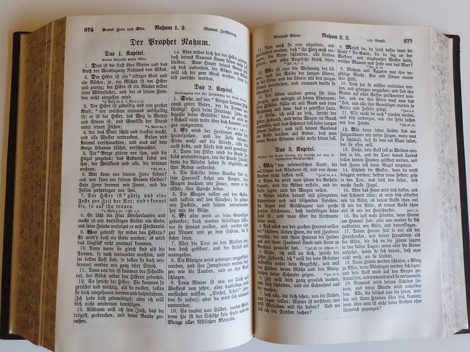 Die Bibel, Die ganze heilige Schrift 1907 in Freudenberg (Oberpfalz)