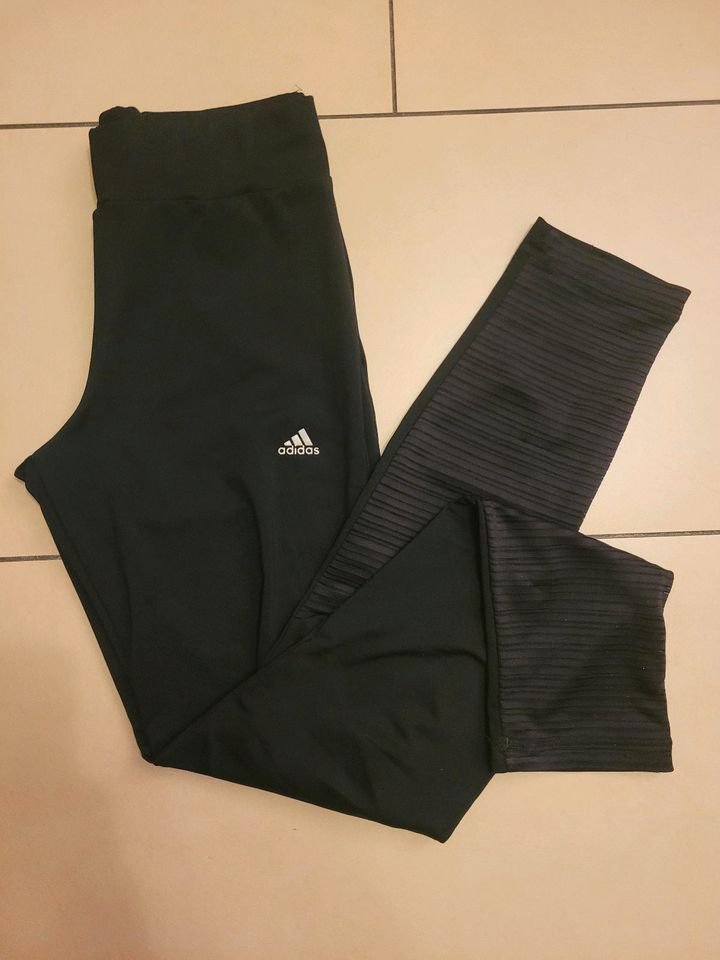 Adidas Nike Mädchen Sport Leggings Gr. 146 164 XS S schwarz in Recklinghausen