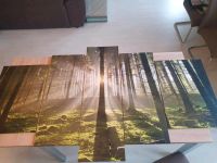 Runa Art Wandbild Wald Sachsen - Wildenfels Vorschau