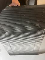 2x Fenster Jalousien Innen 1,50mx90cm Anthrazit Bochum - Bochum-Ost Vorschau