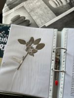 Herbarium in einem sehr guten Zustand Baden-Württemberg - Amstetten Vorschau