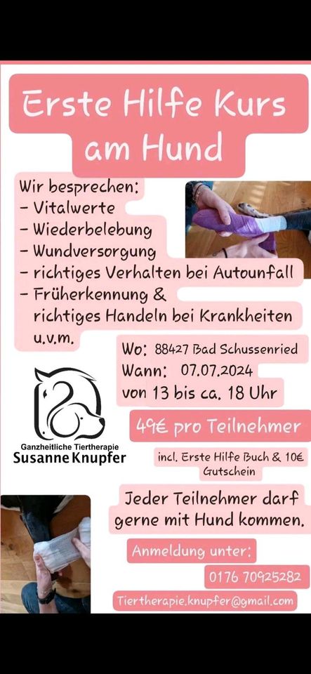 Erste Hilfe Kurs am Hund in Bad Schussenried