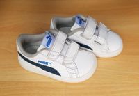 Puma Sneaker weiß-blau Gr. 20 Smash V2 Baby Turnschuhe Berlin - Pankow Vorschau