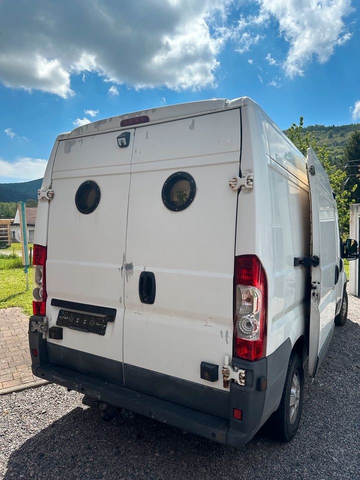 Peugeot Boxer Wohnmobil Camper Van TÜv 08/25 in Niederschlettenbach