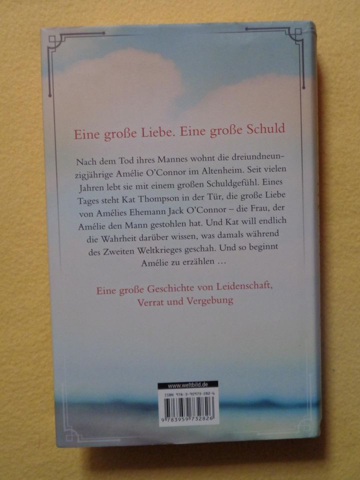 Buch, Roman „Reise des Schicksals“, sehr gut erhalten! in Bockau