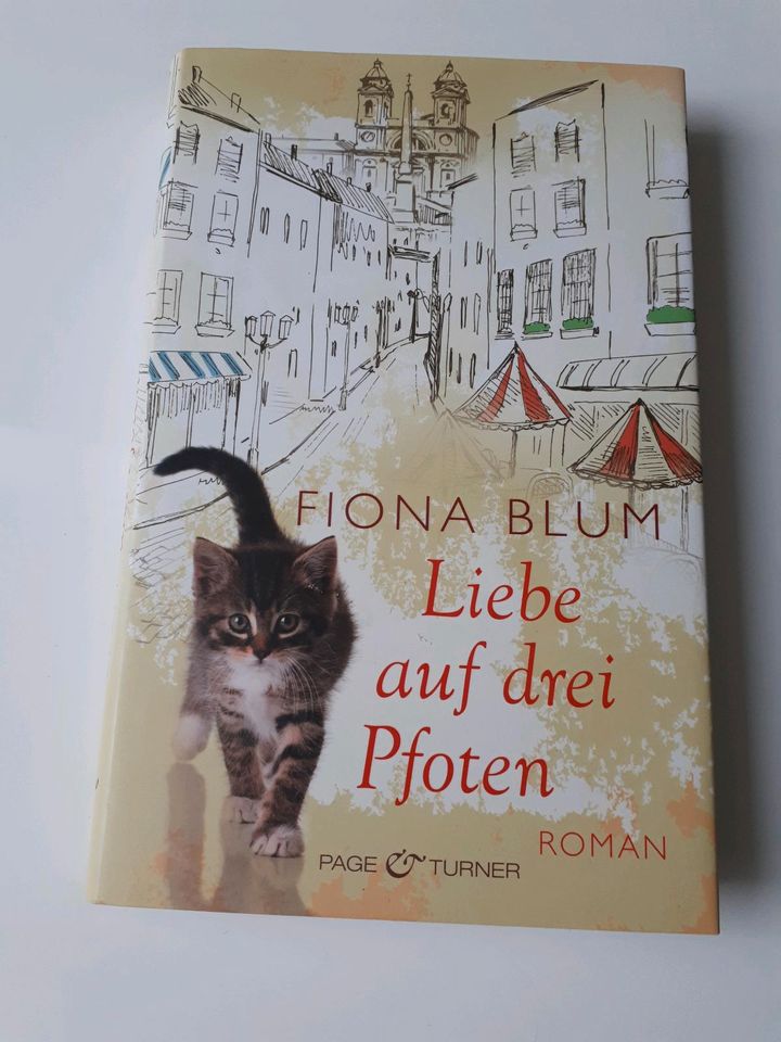 Liebe auf drei Pfoten Katzen Buch Roman in Lindau