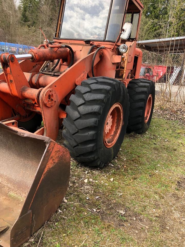 Hanomag Lader in Prien