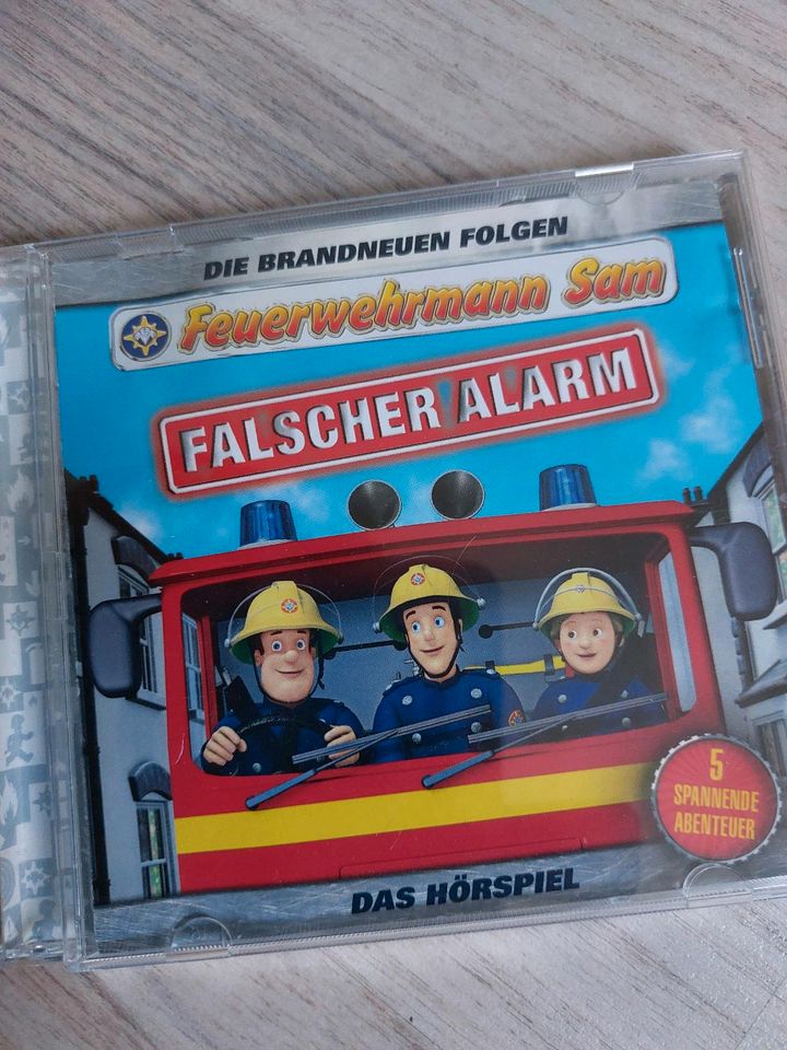 ❤️BÜCHER GESCHICHTEN FEUERWEHRMANN SAM❤️ in Barsinghausen