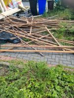 Brennholz zu verschenken !!! Nordrhein-Westfalen - Erftstadt Vorschau