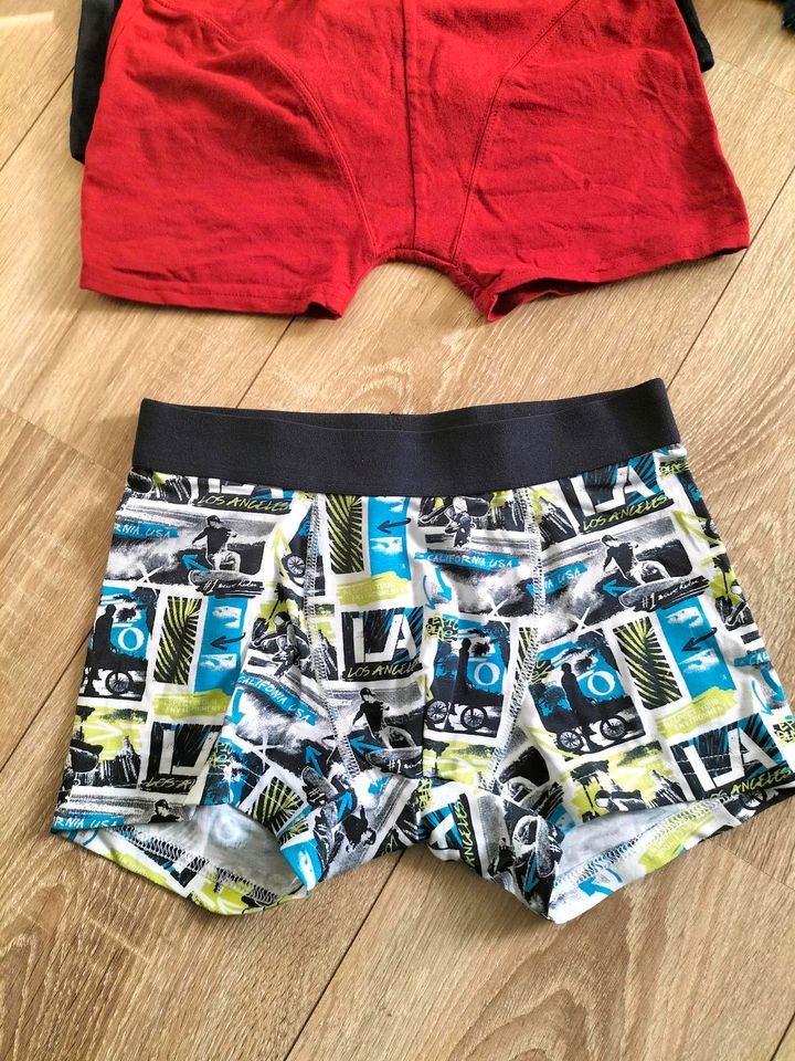 Jungen Boxer 5 Stücke in Hamburg