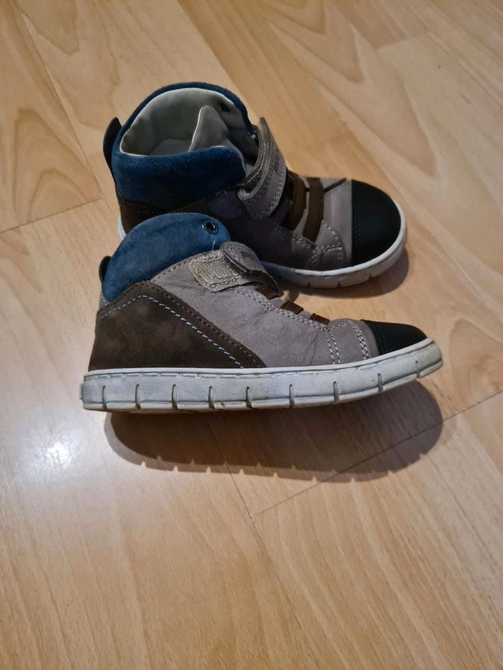 Schuhe, Primigi Schuhe, Gr 26 in Kindelbrück