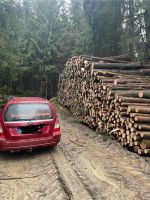 Brennholz Fichte 4 m Bayern - Furth im Wald Vorschau