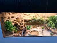 Terrarium mit kompletter Technik Thüringen - Breitenworbis Vorschau