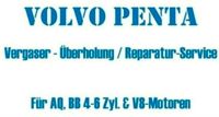 Volvo PENTA Vergaser Überholung Reparatur AQ B20 B30 Niedersachsen - Holzminden Vorschau