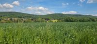 Kleingarten, Stück Land zum Kauf oder Pacht Niedersachsen - Rodenberg Vorschau