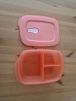 Tupperware 1L Mikrowellenbehälter mit Abtrennung Essen - Essen-Frintrop Vorschau