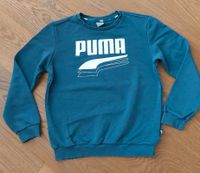 Pullover Kinder Puma 152 blau Bayern - Zorneding Vorschau