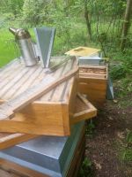 Suche Grünstück für meine Bienen Rheinland-Pfalz - Schifferstadt Vorschau