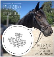 Geschenk Reitunterricht Ponyreiten für Kinder Geschenkbox Pferd Rheinland-Pfalz - Melsbach Vorschau