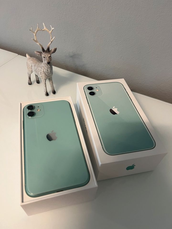 iPhone 11 64 GB in Klein-Winternheim