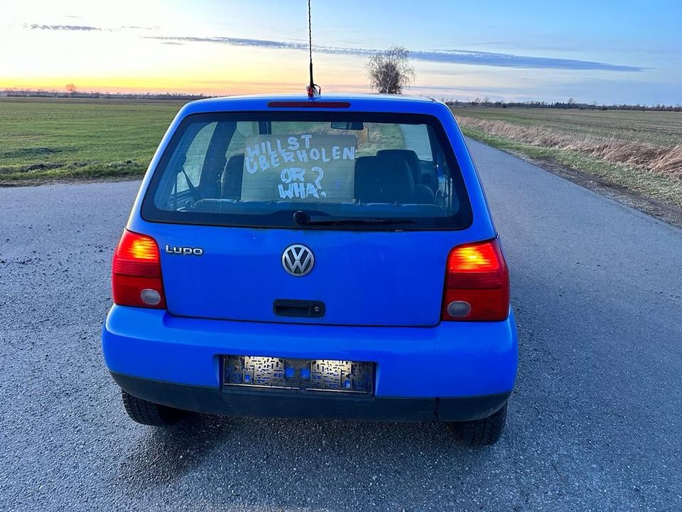 Volkswagen Lupo in Schwarme