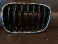 BMW X3 G01 X4 G02 Original Ziergitter Grill links Essen - Essen-Borbeck Vorschau