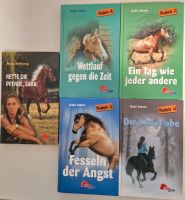 5 Pony Club Bücher Pferde Diabolo sehr gut erhalten Nordrhein-Westfalen - Stolberg (Rhld) Vorschau