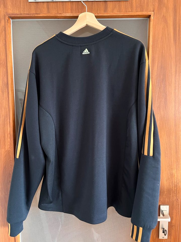 adidas x IVY PARK Beyonce Black Pack Crewneck Sweatshirt XS in München -  Maxvorstadt | eBay Kleinanzeigen ist jetzt Kleinanzeigen