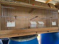 Zuchtbox Käfig für Vögel Sittiche und Finken Nordrhein-Westfalen - Blomberg Vorschau