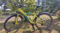 Winora Streethammer 26" Zoll Mountainbike Sachsen - Schkeuditz Vorschau