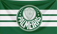 Palmeiras Fahne 150x90cm neu Hessen - Flörsheim am Main Vorschau