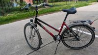 Fahrrad 28 Zoll Dresden - Schönfeld-Weißig Vorschau