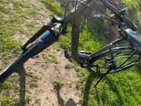 Diamant Fahrrad Damen Mecklenburg-Vorpommern - Wittendörp Vorschau