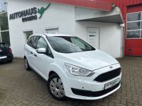 Ford Grand C-Max Ambiente 1.0/1HD/TEMPO/PDC/TÜV NEU Schleswig-Holstein - Bad Segeberg Vorschau