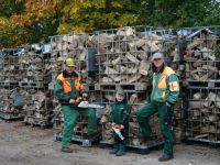 Kaminholz Brennholz trocken Nordrhein-Westfalen - Heek Vorschau