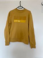Damen Calvin Klein Sweatshirt Pullover gelb Senfgelb Gr.M 38 Hamburg-Mitte - Hamburg Altstadt Vorschau