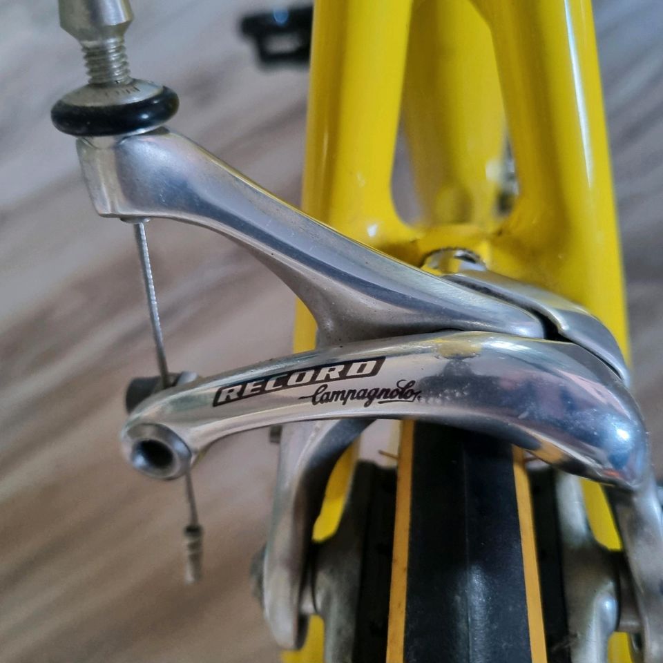 Giant Rennrad TCR SL Aluxx light , campagnolo Record !, ONCE Team in Bottrop