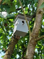 Starenkasten - Nistkasten - Vogelhaus - Geschenk - Handarbeit Mecklenburg-Vorpommern - Neubrandenburg Vorschau